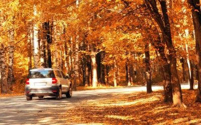Autumn Savings Await at Fiesta Kia!